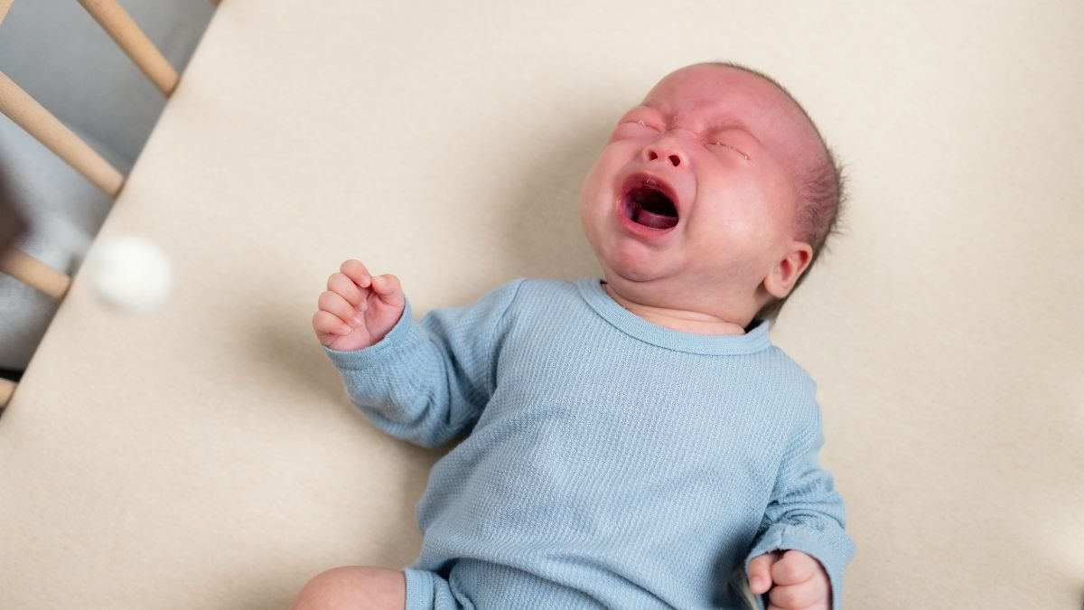 Birras e Ansiedade de Separação: Guia Completo com Ciência, Acolhimento e Fé