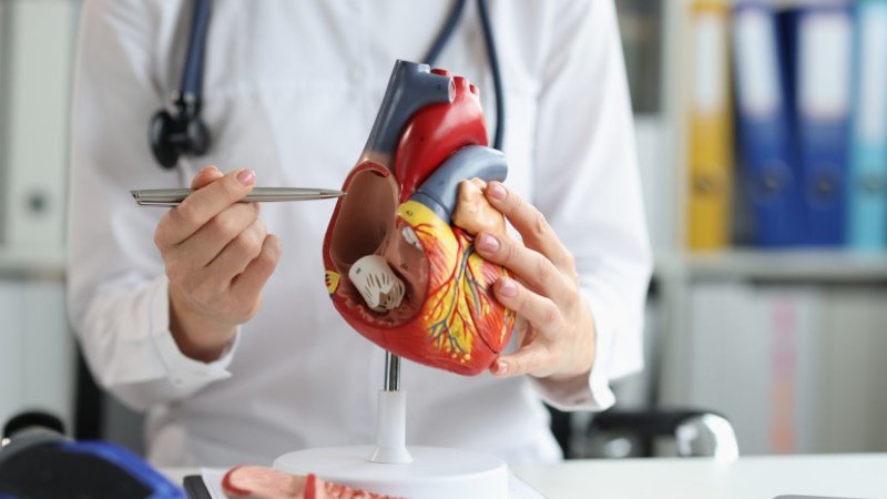 Seu Coração Acelera do Nada? Entenda Por Que Isso Acontece