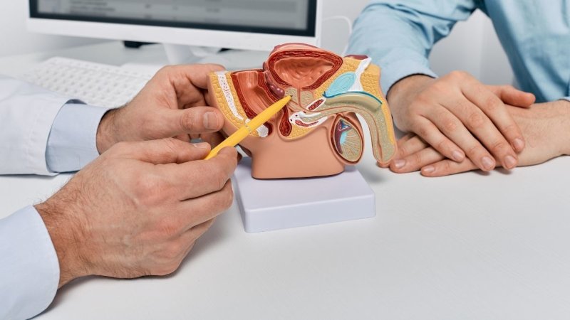 Adiar Exames de Rotina Pode Custar Caro: O Perigo Silencioso do Câncer de Próstata