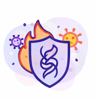 Condições Inflamatórias e Autoimunes da Pele